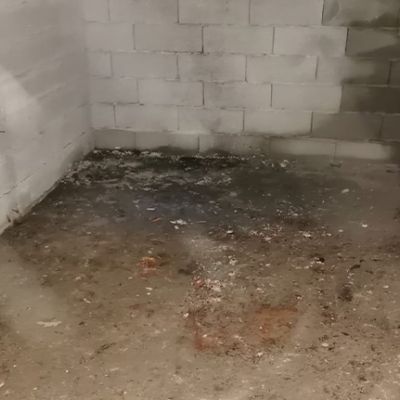 Räumungswichtel Keller nachher